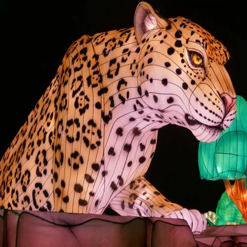 سستے کسٹم چینی آؤٹ ڈور اینیمل آرائشی ریشم لالٹین